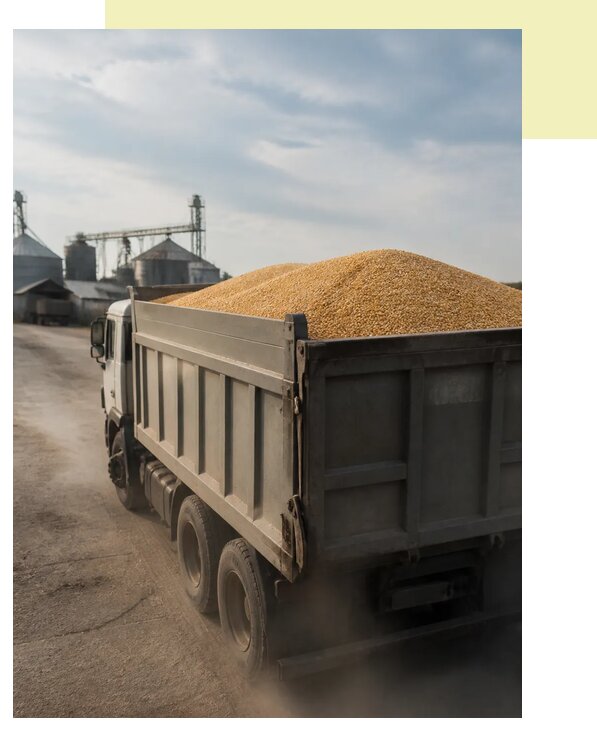 Перевозка сельхозпродукции навалом в Фурманов по цене от 3056 р. | Агросервис-Фрв